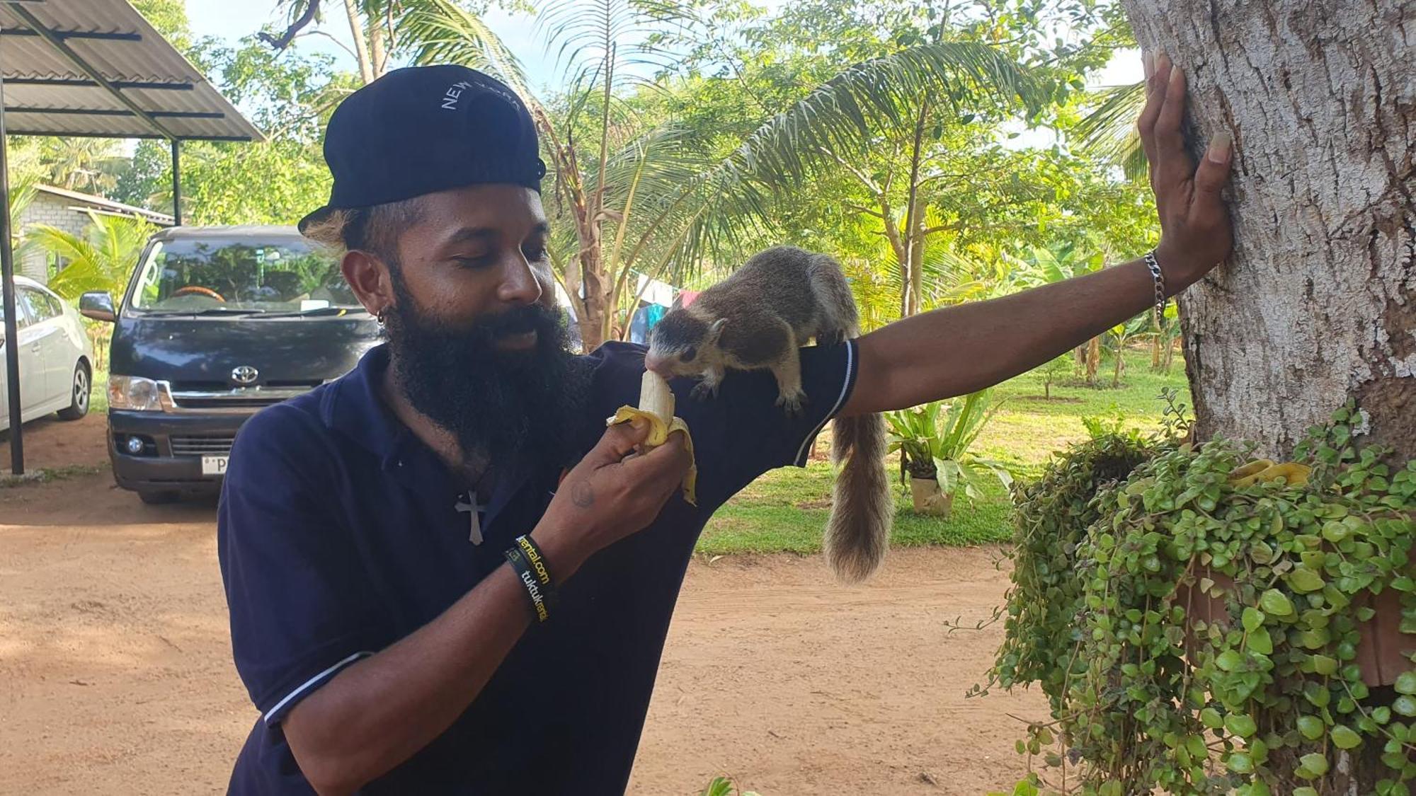 Ceylon Resort Wilpattu Nationalpark Exterior foto