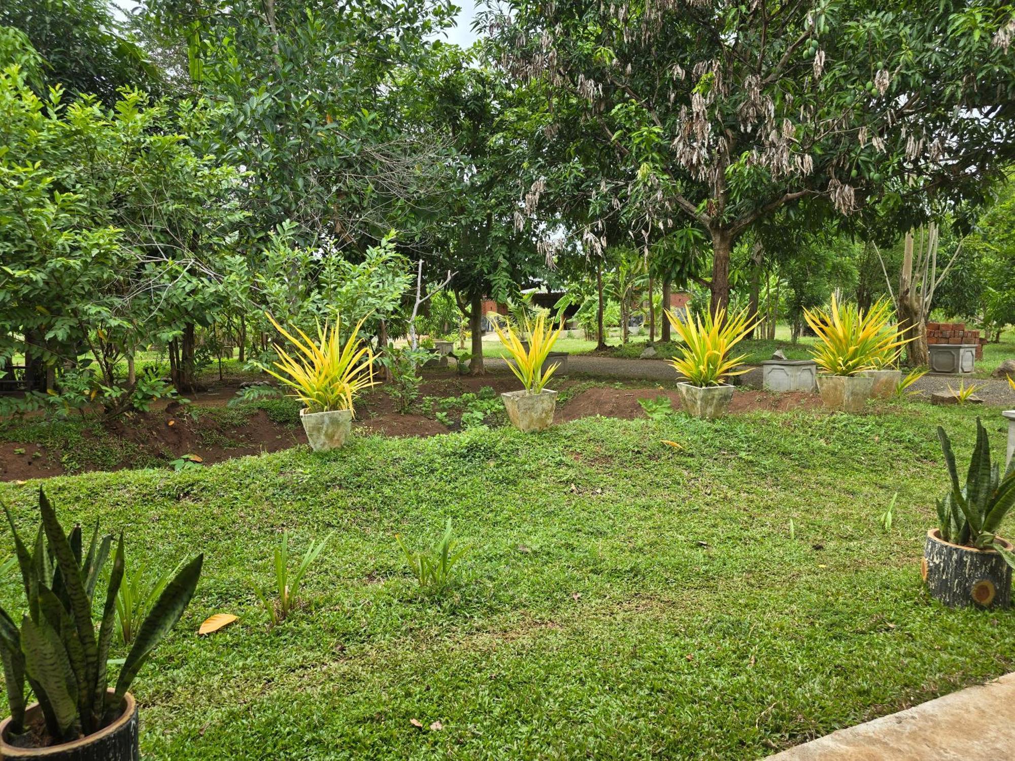 Ceylon Resort Wilpattu Nationalpark Exterior foto