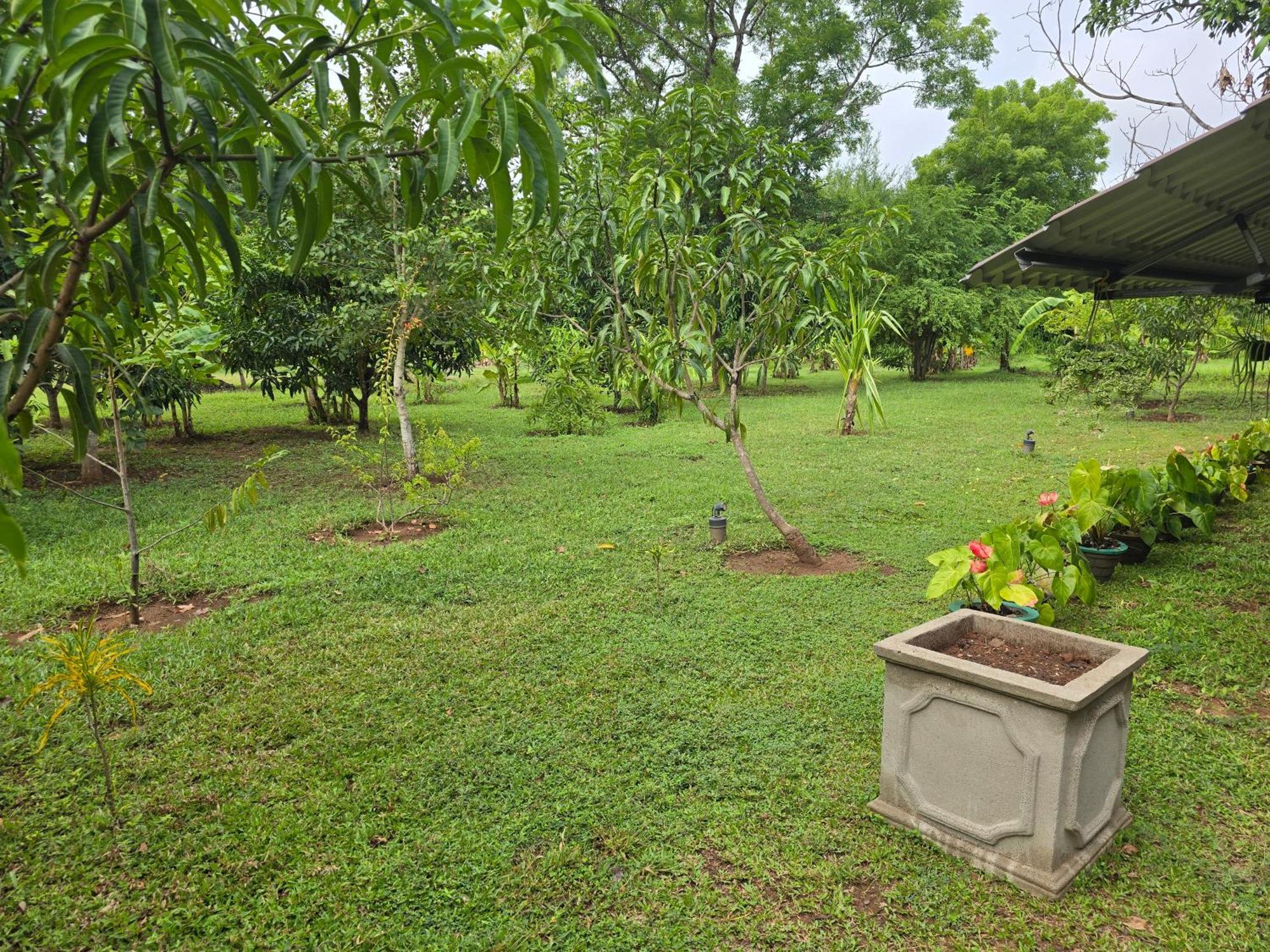 Ceylon Resort Wilpattu Nationalpark Exterior foto